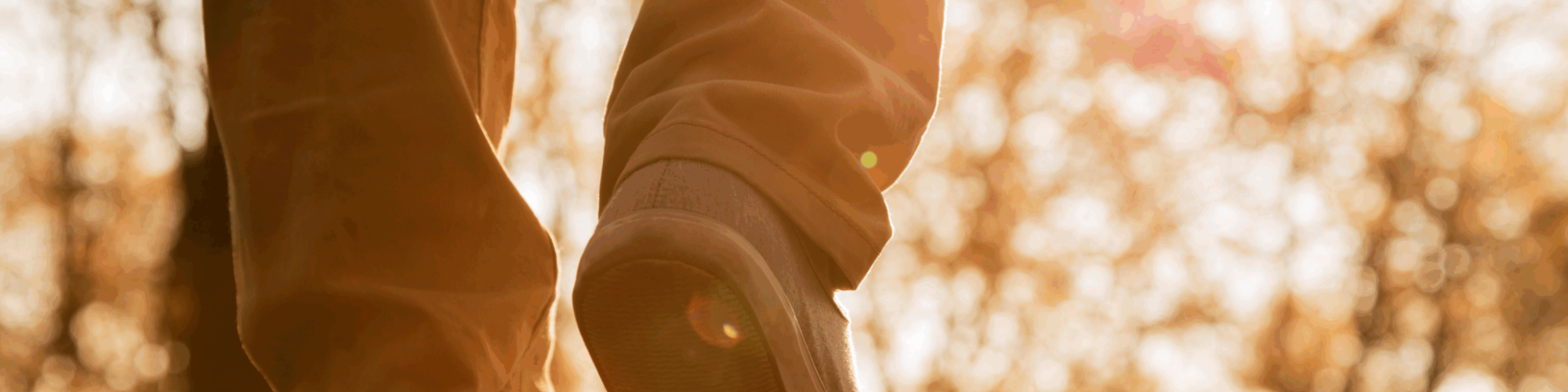 Psicología para adultos